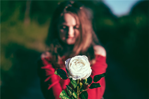 手拿玫瑰花的女性